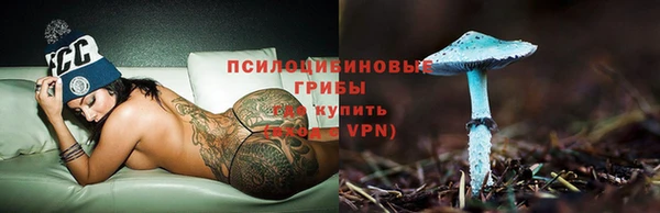 герыч Тайга