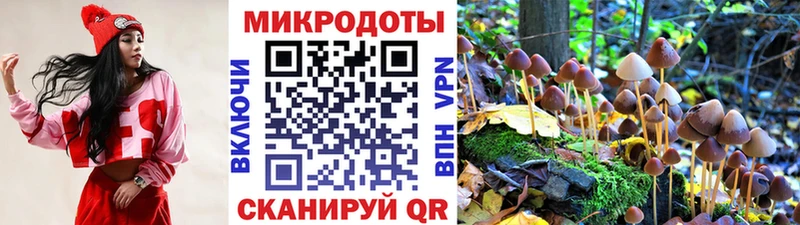 мега как войти  Углегорск  Галлюциногенные грибы Psilocybe 