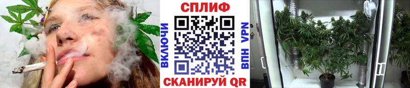 где купить наркоту Углегорск мега как войти Канабис семена